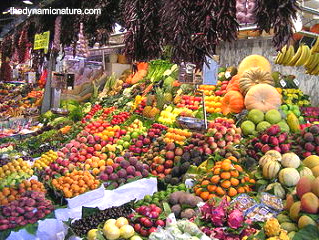 Fruits and vegetables are good sources of most of the vitamins