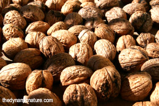 Nuts and seeds are good sources of vitamin B6.