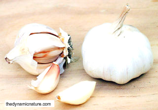 Garlic helps in the blood circulation.